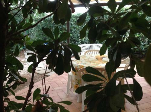 Hostal Agriturismo Podere Campalto