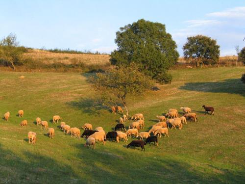 Agroturismo Casa Da Bica