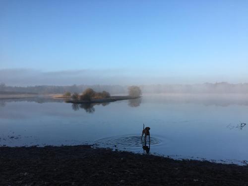 Brouwerij Hotel De Gouden Leeuw
