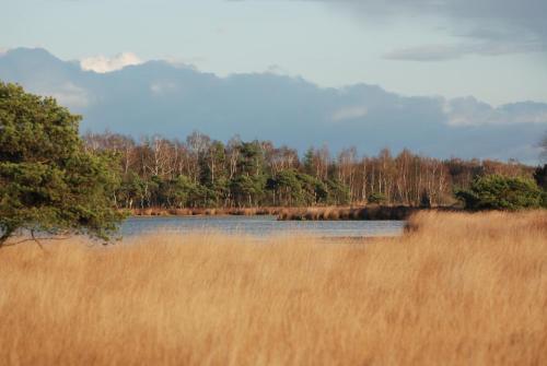 Brouwerij Hotel De Gouden Leeuw