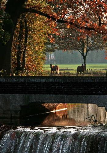Brouwerij Hotel De Gouden Leeuw