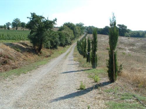 Agroturismo Podere Fingardella