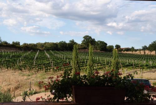 Agroturismo Podere Fingardella