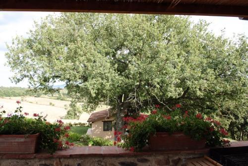 Agroturismo Podere Fingardella