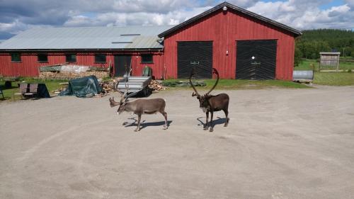 Agroturismo Vestre Sorken Feriegard