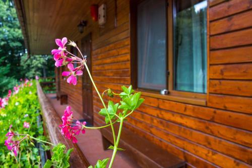 Hostal Pension Casa Verde