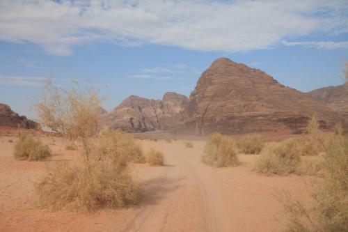 The Bedouin Meditation Camp