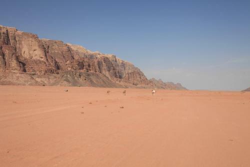 The Bedouin Meditation Camp