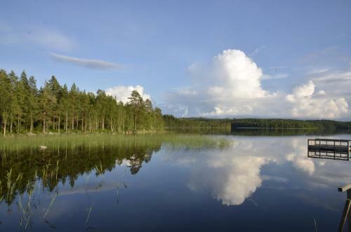 Lodge Tyngsj� Vildmark