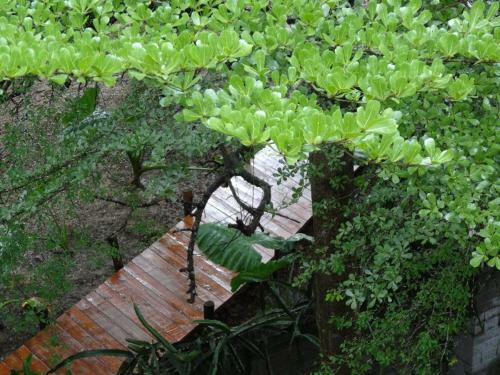 Agroturismo Ming Shan Villa