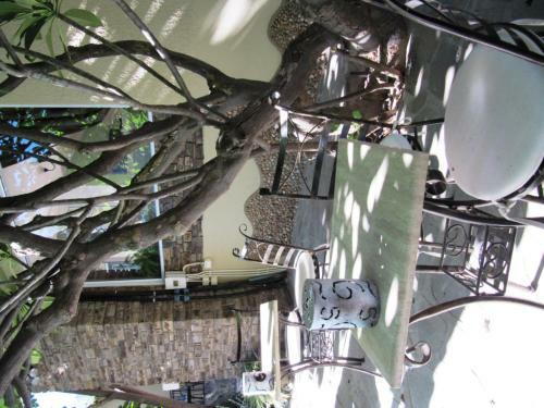 Hostal Guesthouse Terra Africa