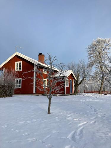 Agroturismo Stuga Linnebr�ten