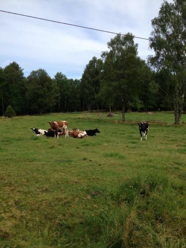 Agroturismo Stuga Linnebr�ten