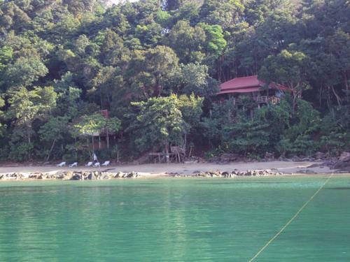 Jungle Hill Beach Bungalow