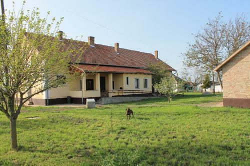 Hostal Peregi Vend�gh�z