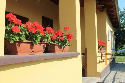 Hostal Peregi Vend�gh�z