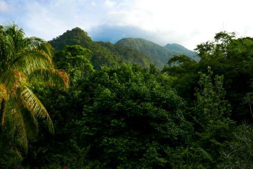 Omega Tours Eco-jungle Lodge