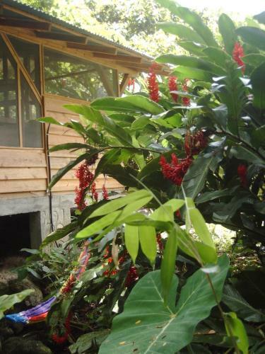 Omega Tours Eco-jungle Lodge