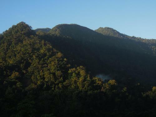 Omega Tours Eco-jungle Lodge