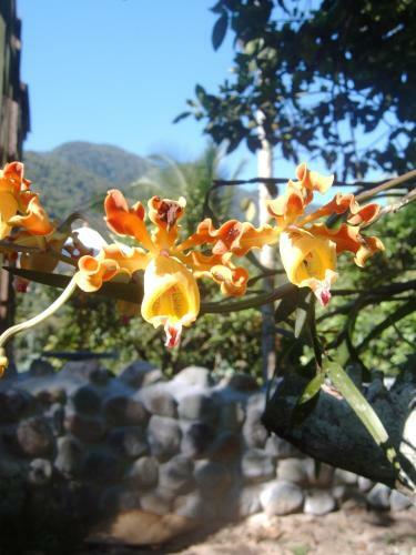 Omega Tours Eco-jungle Lodge