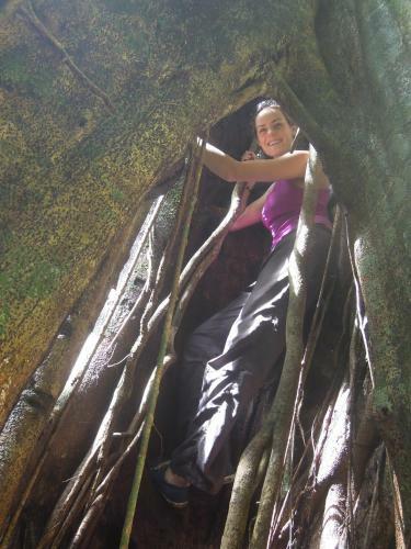 Omega Tours Eco-jungle Lodge