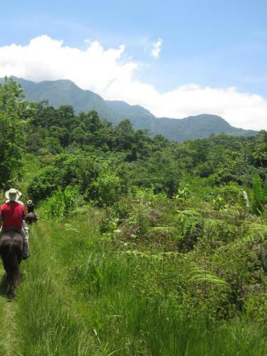 Omega Tours Eco-jungle Lodge