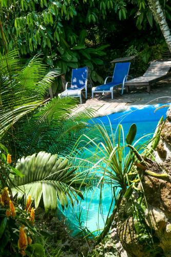 Omega Tours Eco-jungle Lodge