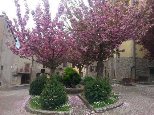 Apartamento La Casa Di Adelina