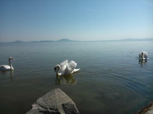 Apartamento Ang�la H�z