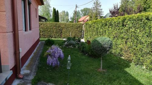 Holiday Home Balatonbereny 15