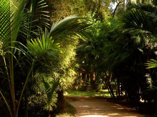 Hotel Soba Lanka Holiday Resort
