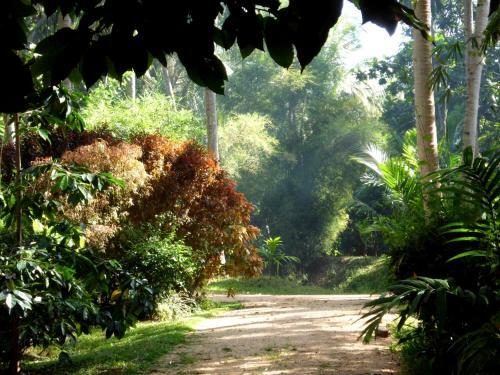 Hotel Soba Lanka Holiday Resort