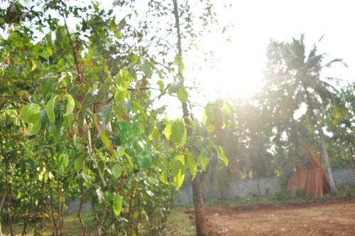 Hotel Soba Lanka Holiday Resort