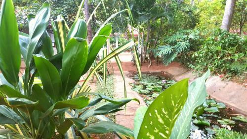 Hotel Soba Lanka Holiday Resort