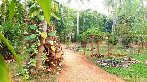 Hotel Soba Lanka Holiday Resort