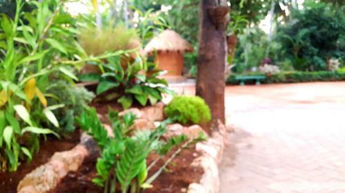Hotel Soba Lanka Holiday Resort