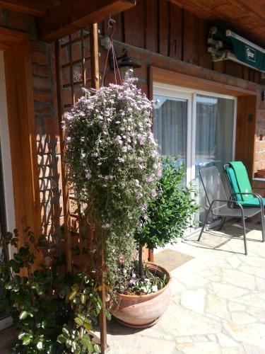 Hostal Gasthaus Jo�-wellness Pension