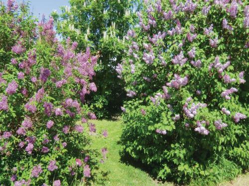 Holiday Home M�llstorpsgatan F�rjestaden