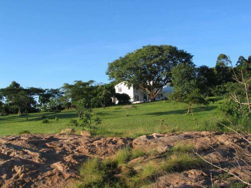 Hostal White House Lodge