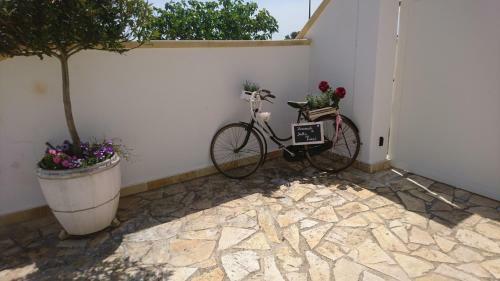 Agroturismo Stella Dei Campi