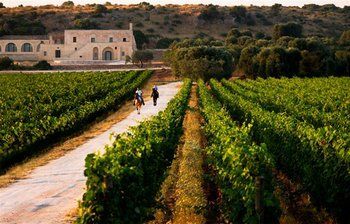 Agroturismo Masseria Le Fabriche