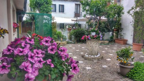 Hostal C� Alberti