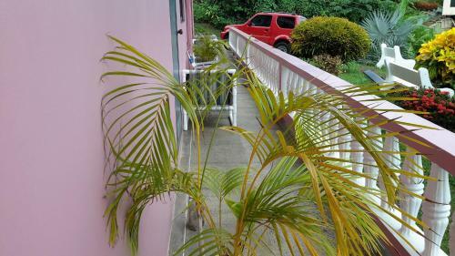 Hostal Top Ranking Hill View Guesthouse