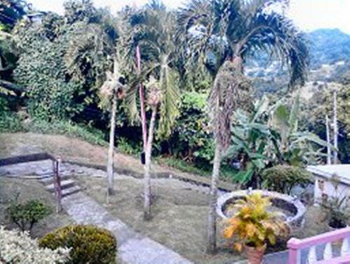 Hostal Top Ranking Hill View Guesthouse