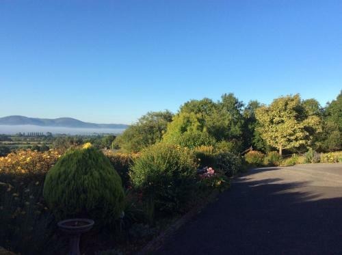 Bed & Breakfast Hollymount House