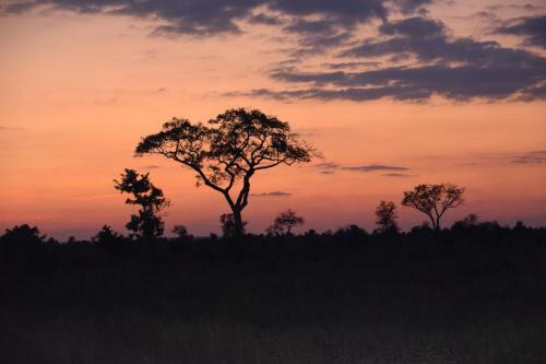 Apartamentos Khumbula Iafrica