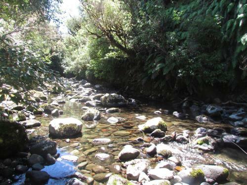 Bed & Breakfast Tongariro Suites