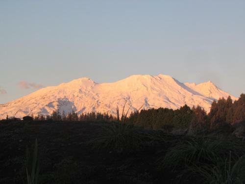 Bed & Breakfast Tongariro Suites