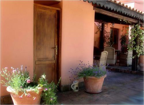 Hostal Pineta Country House