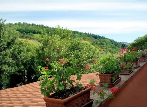Hostal Pineta Country House